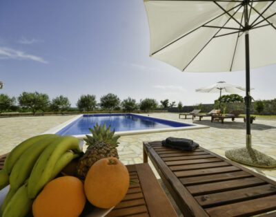 House Villa Dalmacija