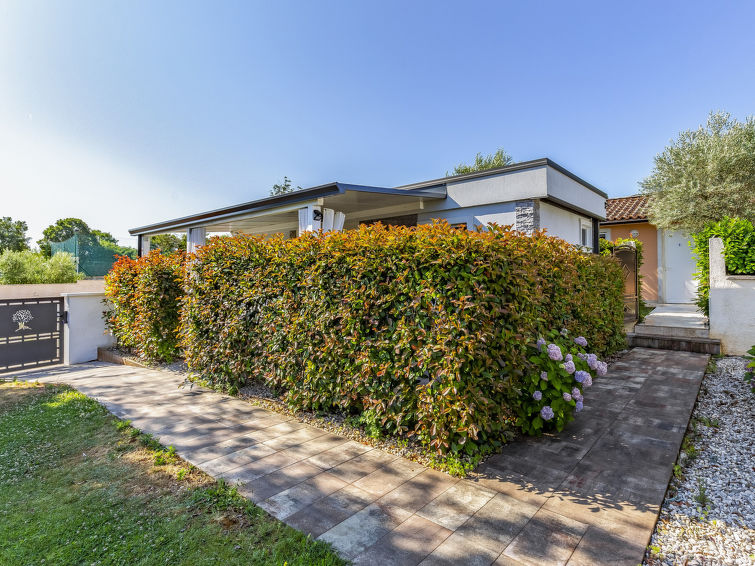 House Premium