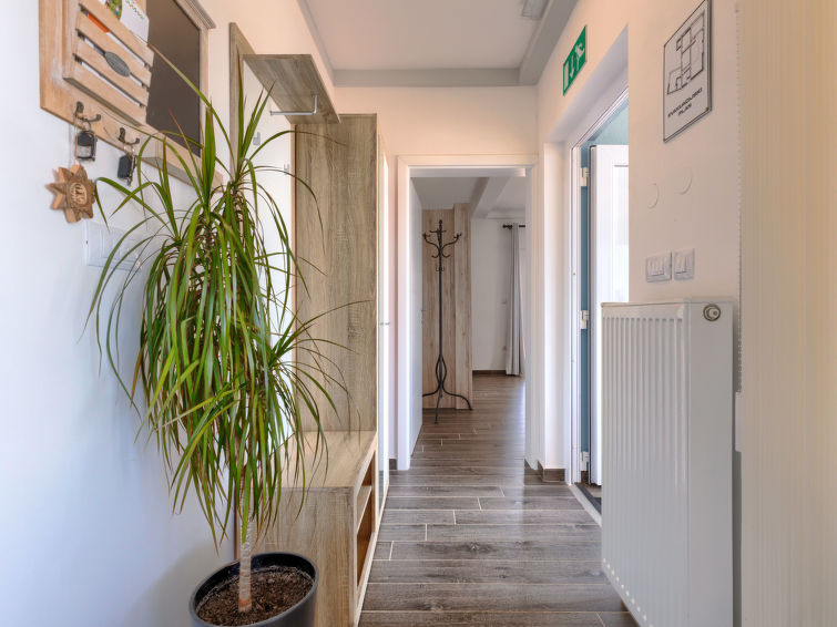 House Villa Selagodi