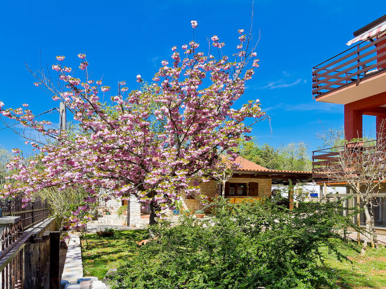 Apartment Majda