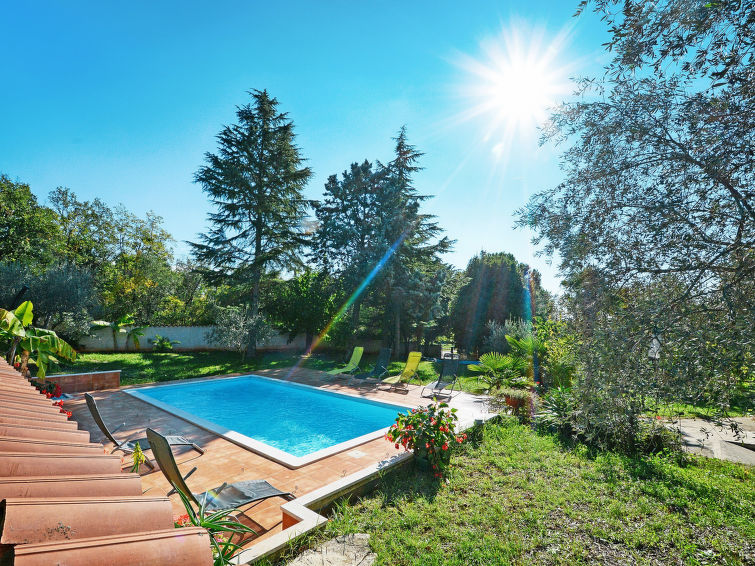 Apartment Albina