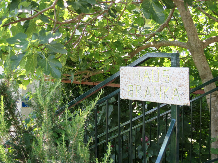 Apartment Branka