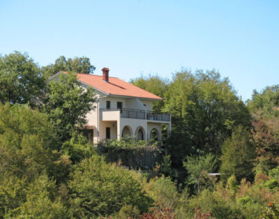 Apartment Urdih