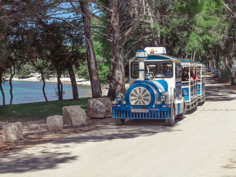House Luxury Beachside Villa Porto Bus