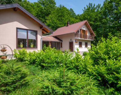 House Bazak