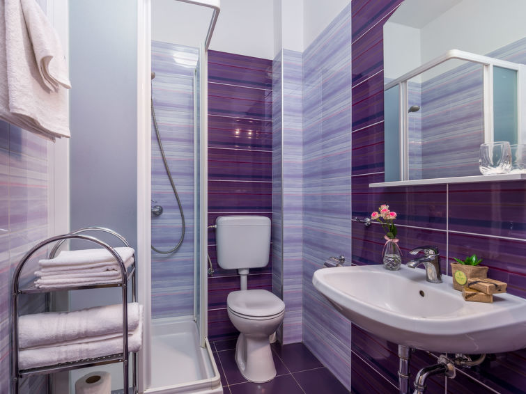 Apartment Romana