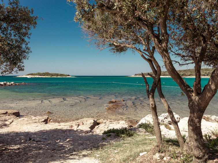 House Luxury Beachside Villa Porto Bus