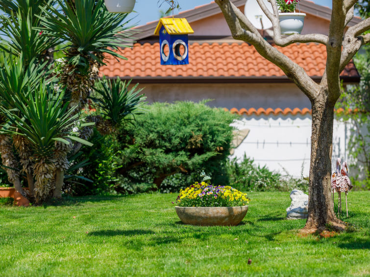 Apartment Tiziana
