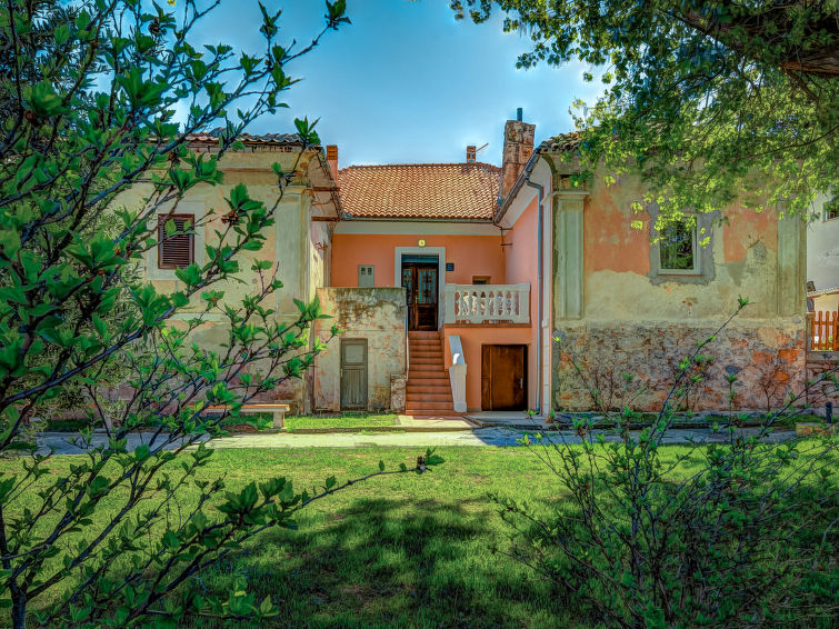 Apartment Branko