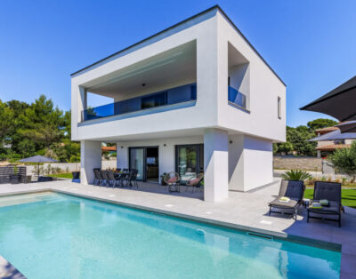 House David