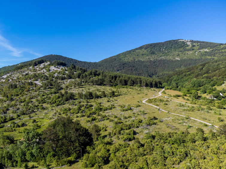 House Saulja