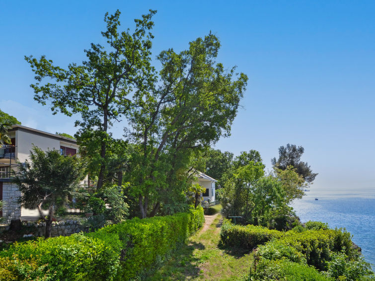 Apartment Dado