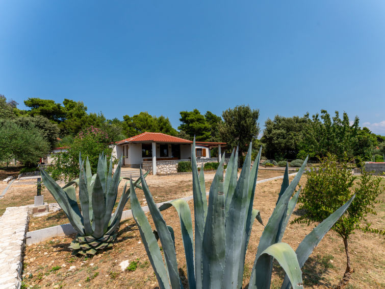 House Dundo House