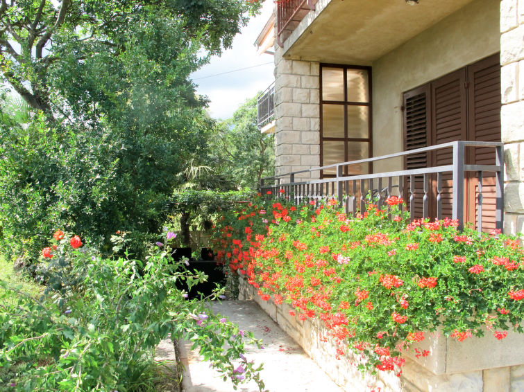 Apartment Renata