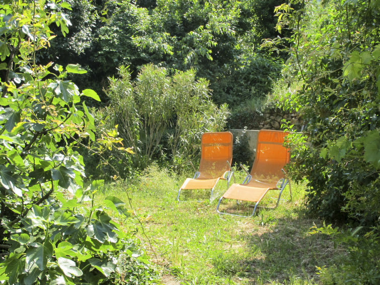 Apartment Branka