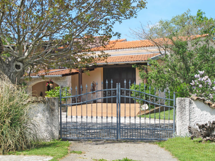 House Latin