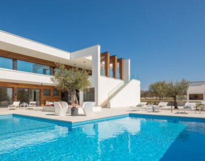 House Old Olive VIII