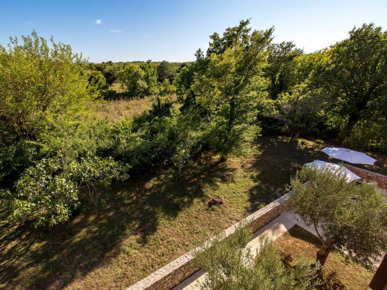 Apartment Romana