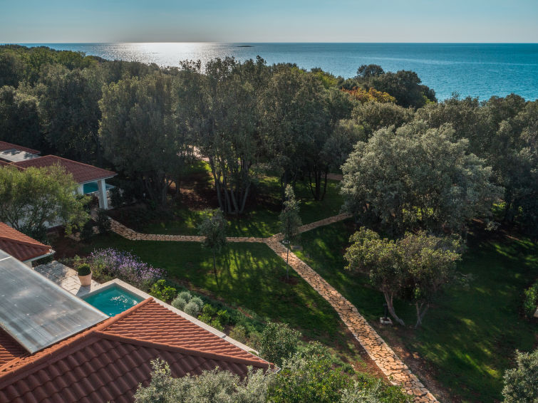 House Luxury Beachside Villa Porto Bus