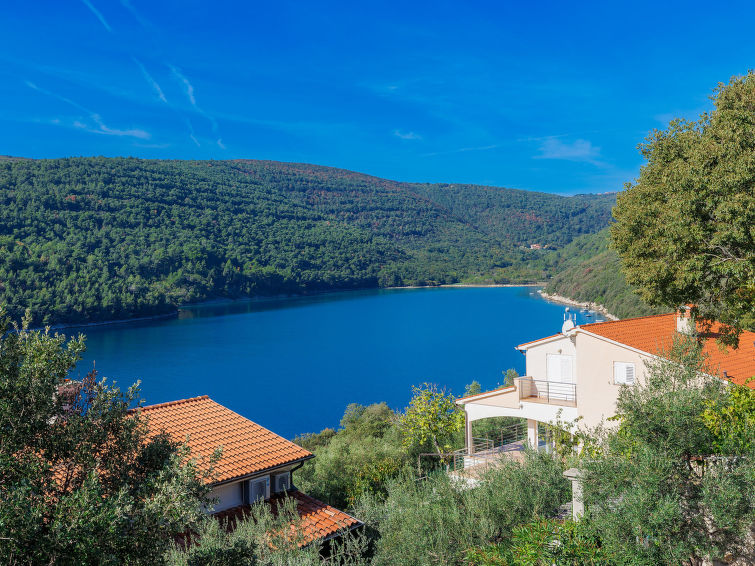 House Villa Dragica