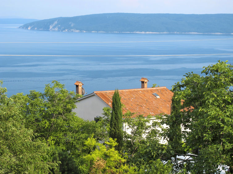Apartment Branka