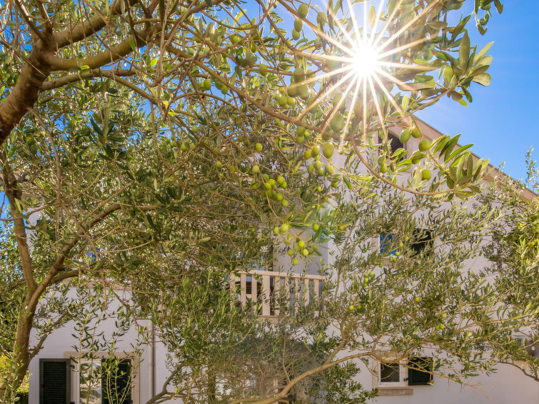 Apartment Pavica 4