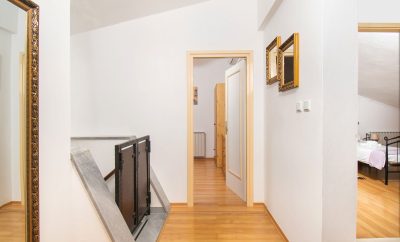 Apartment Radicevic