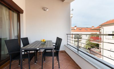 Apartment Goran
