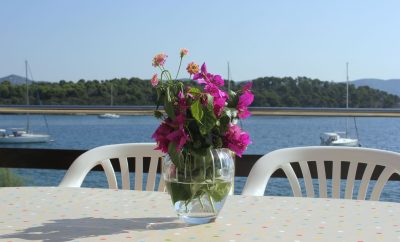 Apartment Davor