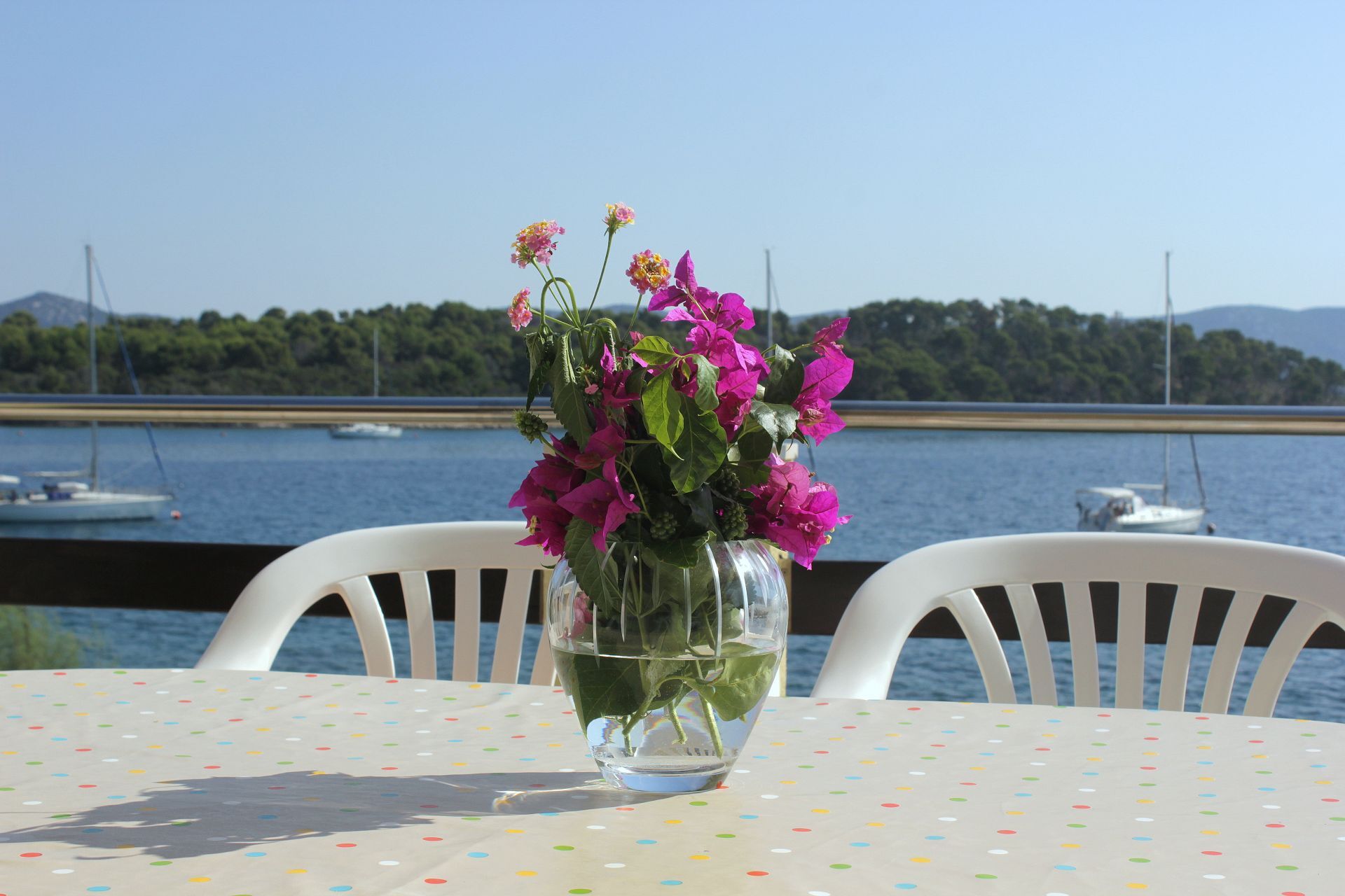 Apartament Davor