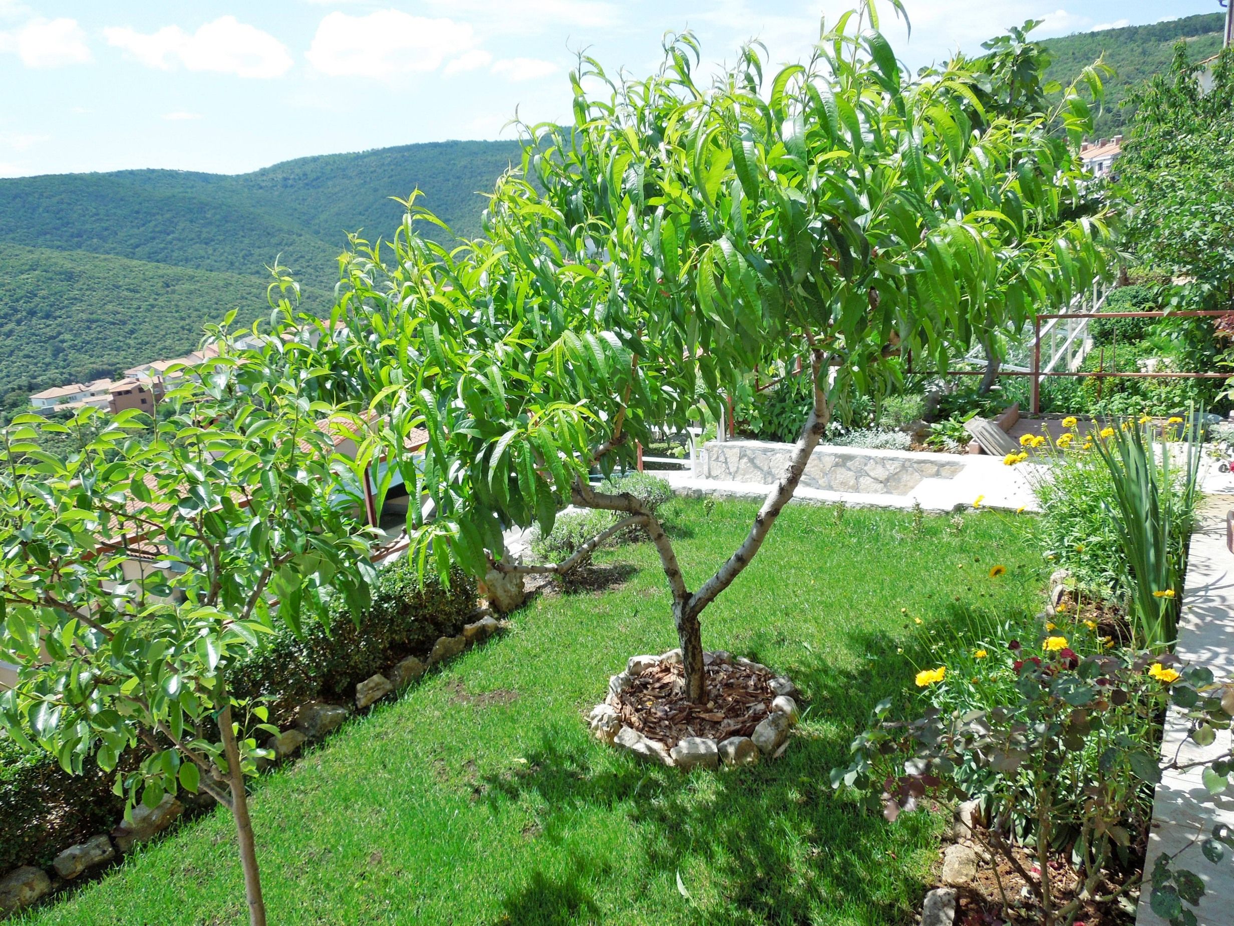 Apartments Elide