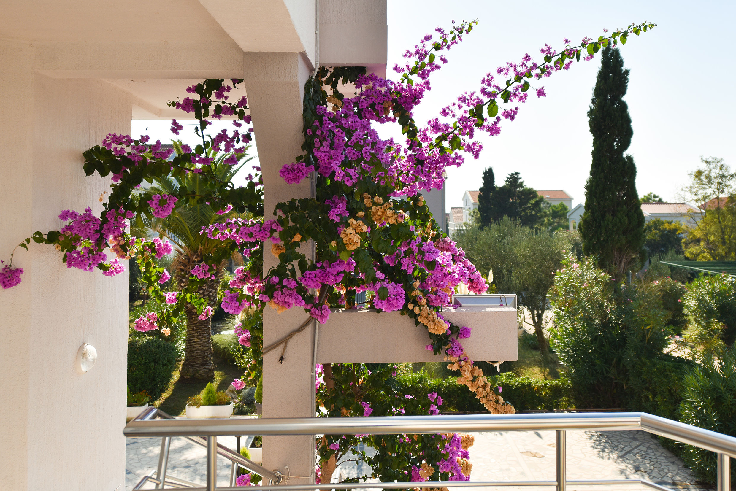 Apartmani Villa Daniela
