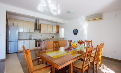 Villa Olive tree