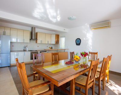 Villa Olive tree