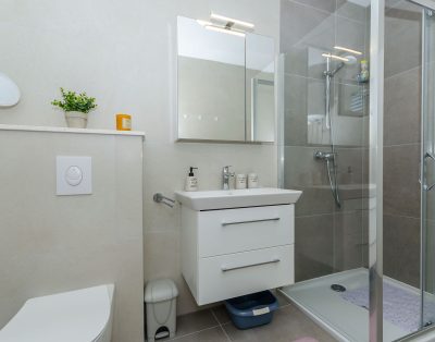 Apartment Dražen