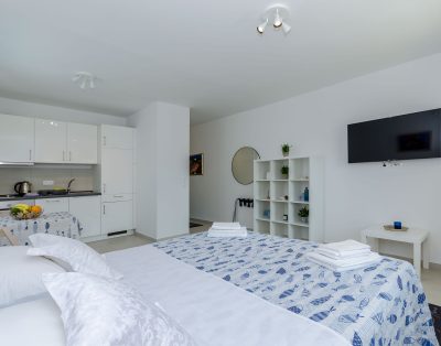 Apartment VITTA