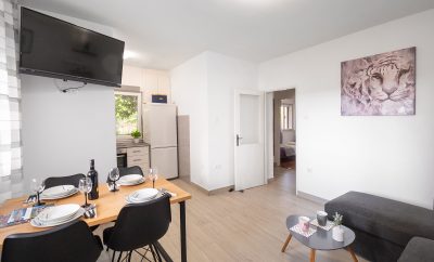 Apartment Ivana