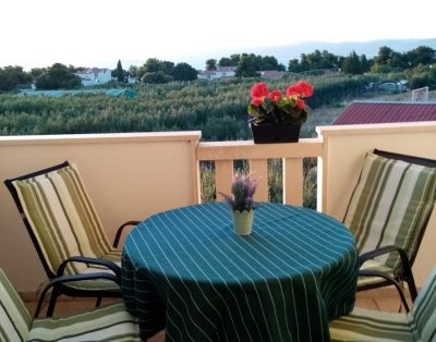 Apartment Lado