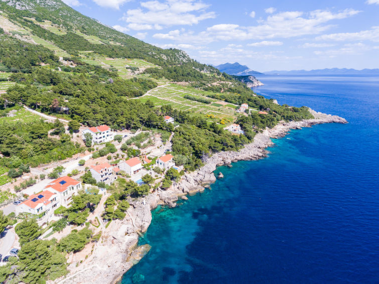 Apartment Plavac Mali