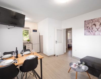 Apartment Ivana