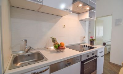 Apartment Pocrnja