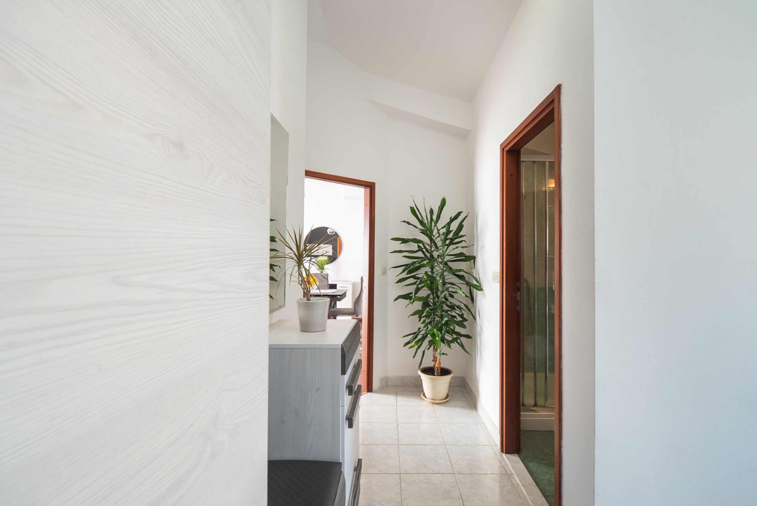Apartamenty Živana